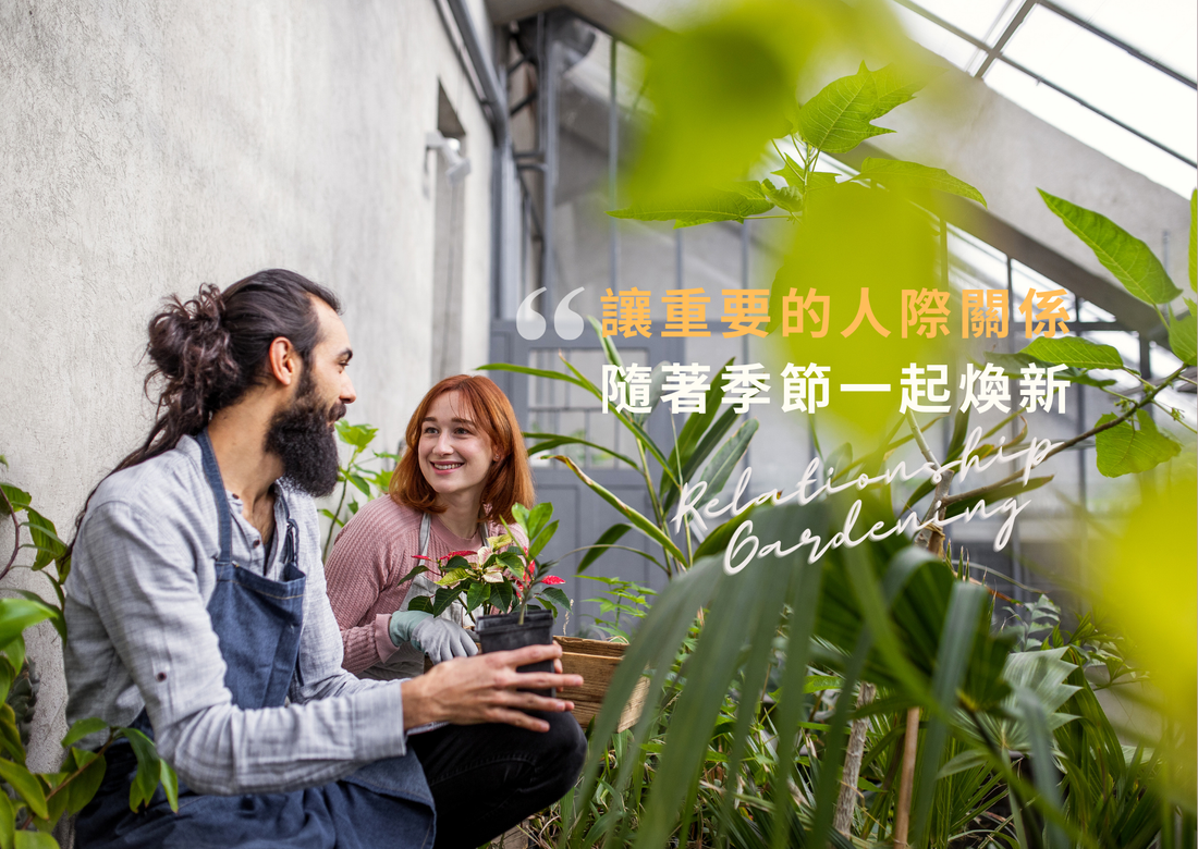 Regularly Renewing Your "Relationship Garden"—Reserve Your Energy for the Connections Worth Nurturing