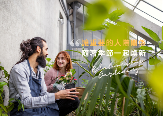 Regularly Renewing Your "Relationship Garden"—Reserve Your Energy for the Connections Worth Nurturing